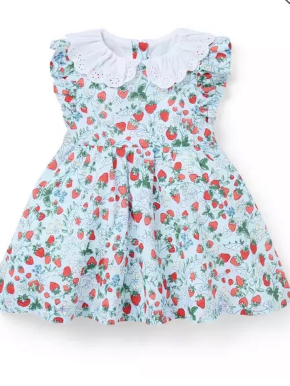 Janie and Jack Strawberry Floral Dress with White Eyelet Collar